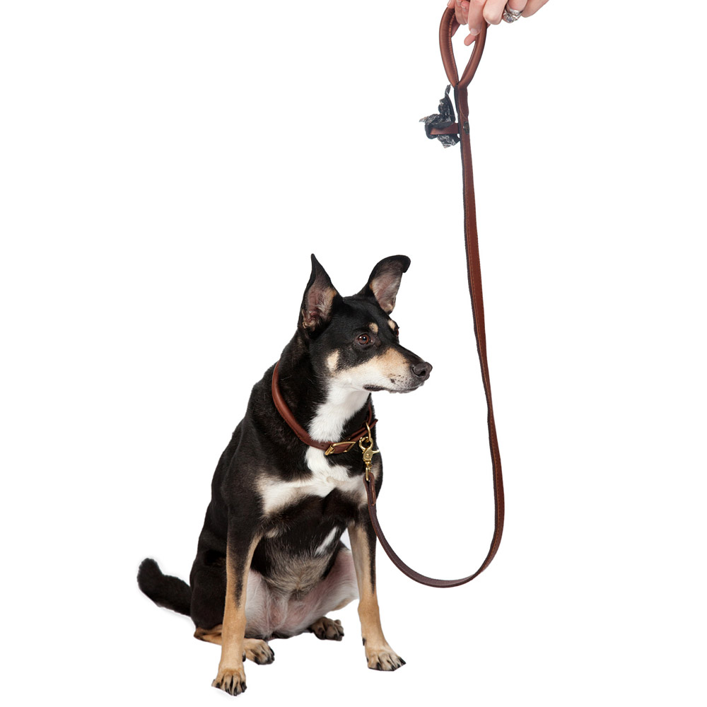MR_Gnora-+-Dog-Lead-Long-+-Collar_3